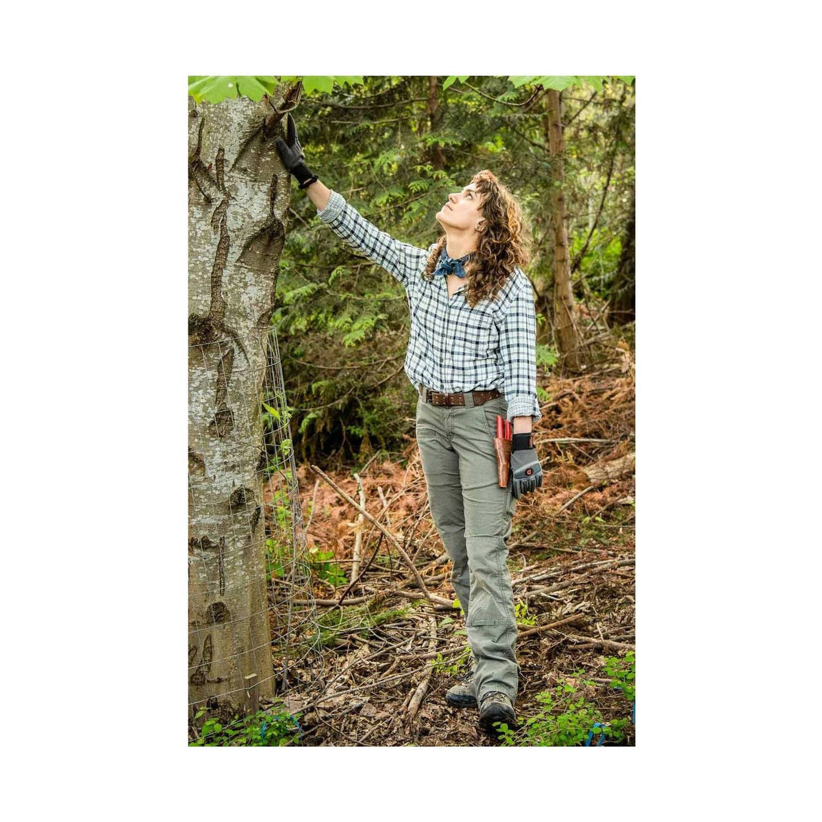 Dovetail Women's Day Construct Ripstop Pant - Olive Green - ONLINE STORE CREDIT/EXCHANGE ONLY