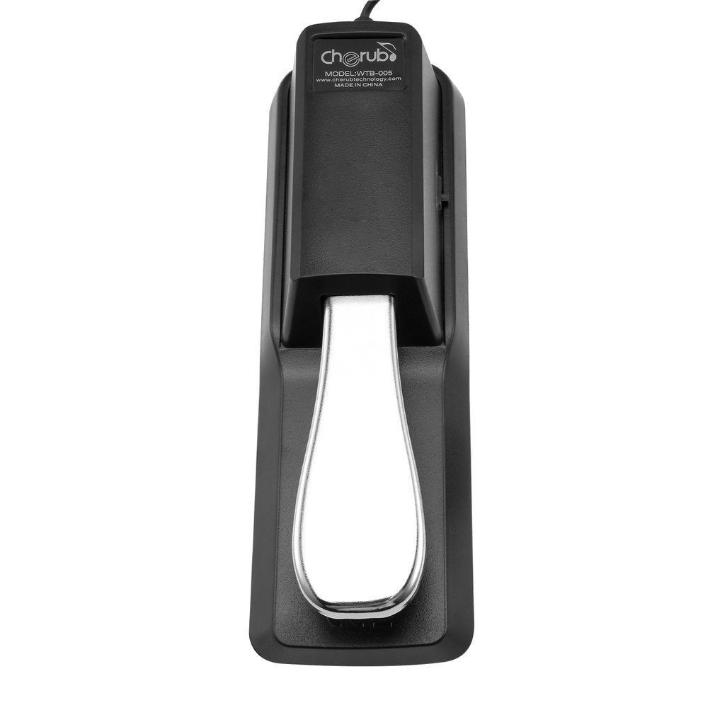 Sustain Pedal for Yamaha Roland Casio Korg Nord Kurzweil Hammond Alesis Moog Ensoniq Behringer Waldorf Arturia Akai Farfisa Studiologic Arp Piano Keyboards and so on