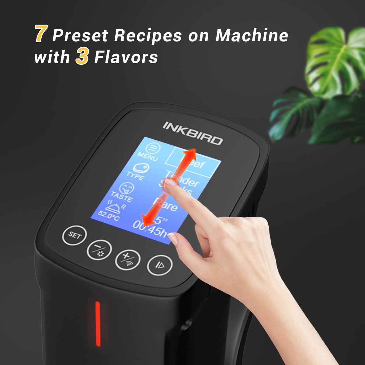 INKBIRD WiFi Sous Vide Cooker