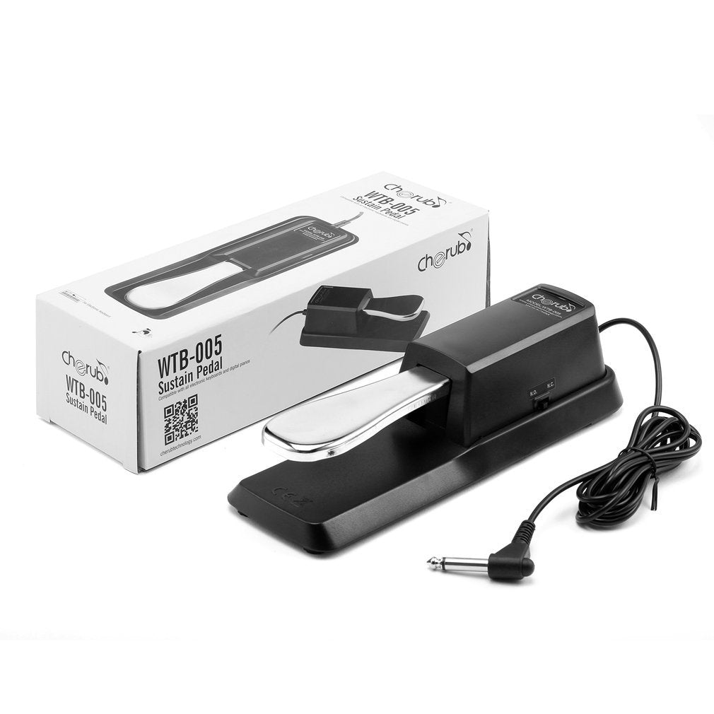 Sustain Pedal for Yamaha Roland Casio Korg Nord Kurzweil Hammond Alesis Moog Ensoniq Behringer Waldorf Arturia Akai Farfisa Studiologic Arp Piano Keyboards and so on