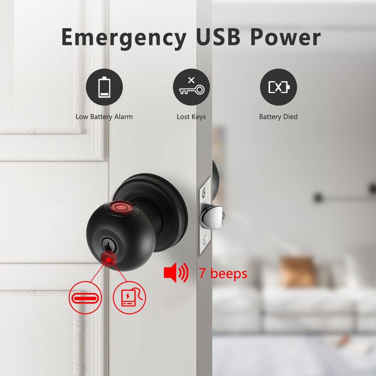 Buoan Fingerprint Door Knob, Smart Fingerprint Door Knob with Lock, Black