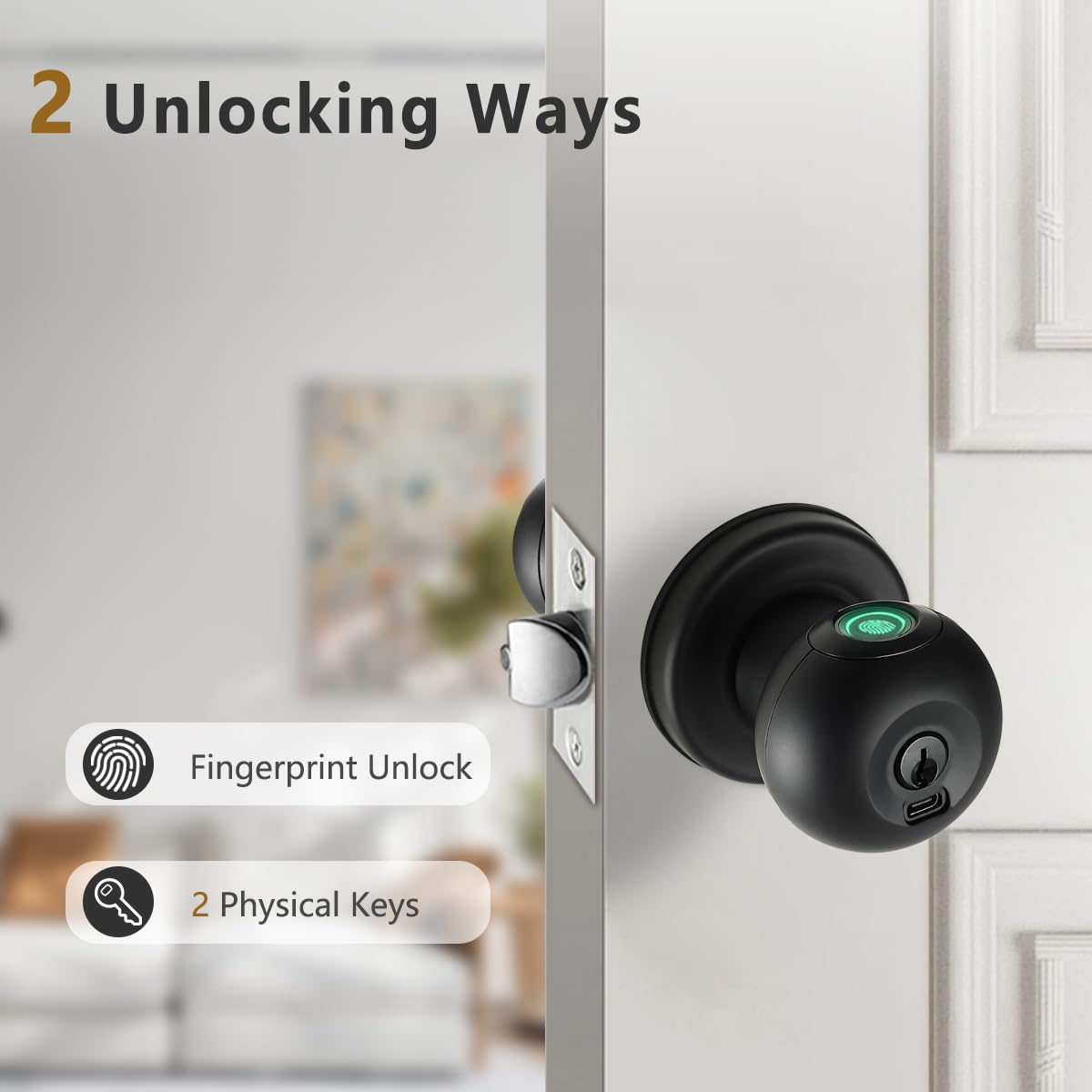 Buoan Fingerprint Door Knob, Smart Fingerprint Door Knob with Lock, Black