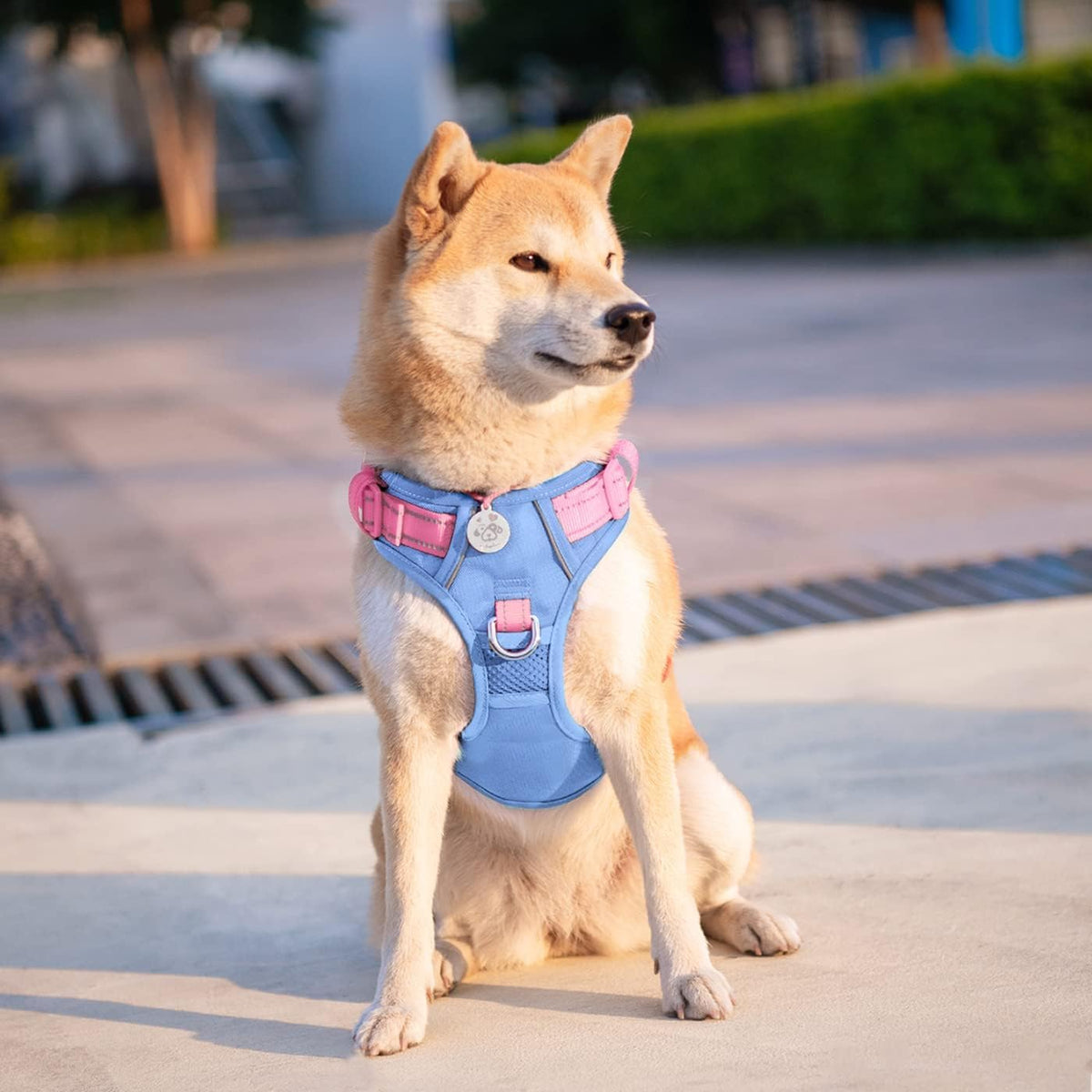 PHOEPET No Pull Dog Harness, Unique Colors Reflective Adjustable Dog Vest