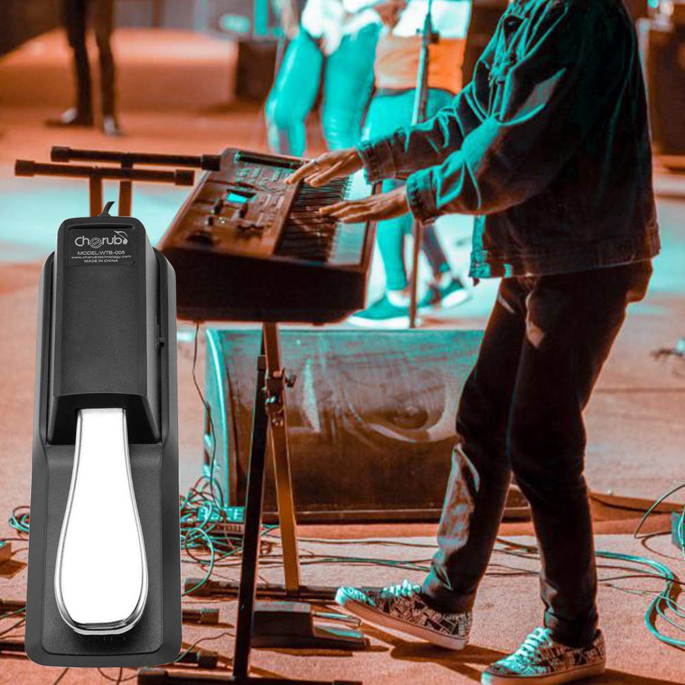 Sustain Pedal for Yamaha Roland Casio Korg Nord Kurzweil Hammond Alesis Moog Ensoniq Behringer Waldorf Arturia Akai Farfisa Studiologic Arp Piano Keyboards and so on