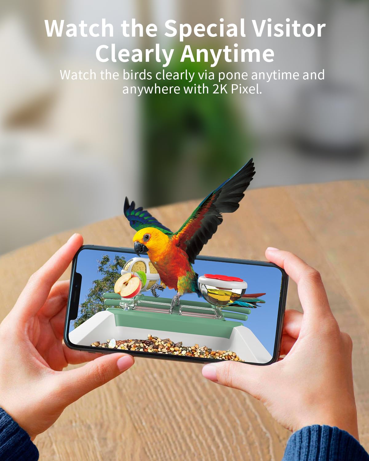 Bird Feeder with Camera, 2K Smart BirdCamera with Solar Powered, AI Identify Birds Species, Instant Arrival Alerts, 2.4Ghz WiFi Bird House for Outdoors, Ideal Gift for Family and Bird Lovers (Green)