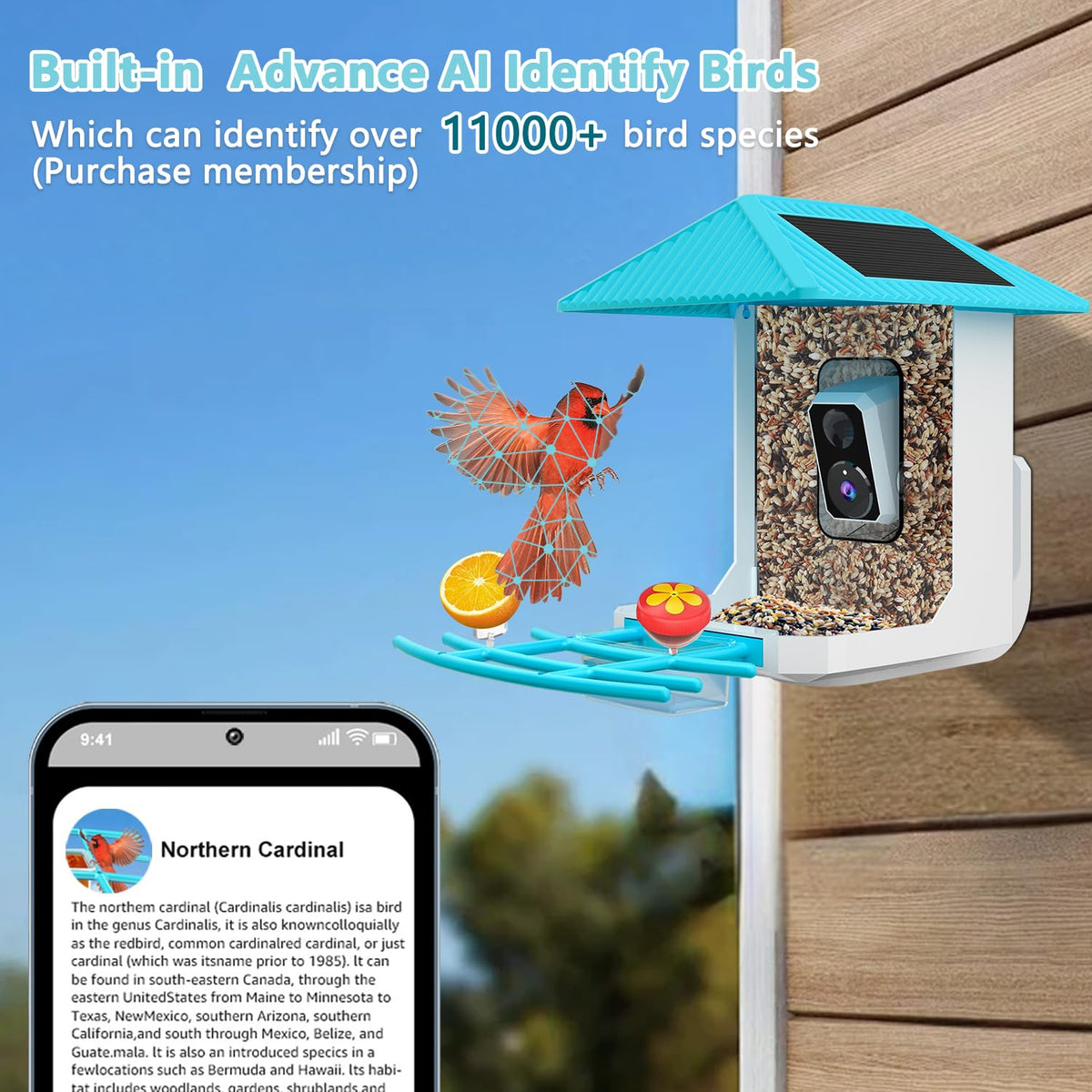 2.5K Smart Bird Feeder with Camera, 5GHz &2.4GHz Birds Watching Camera with AI Identify Bird Species, Outdoor Birds Feeder House with Solar Panel for BirdLovers (Blue)