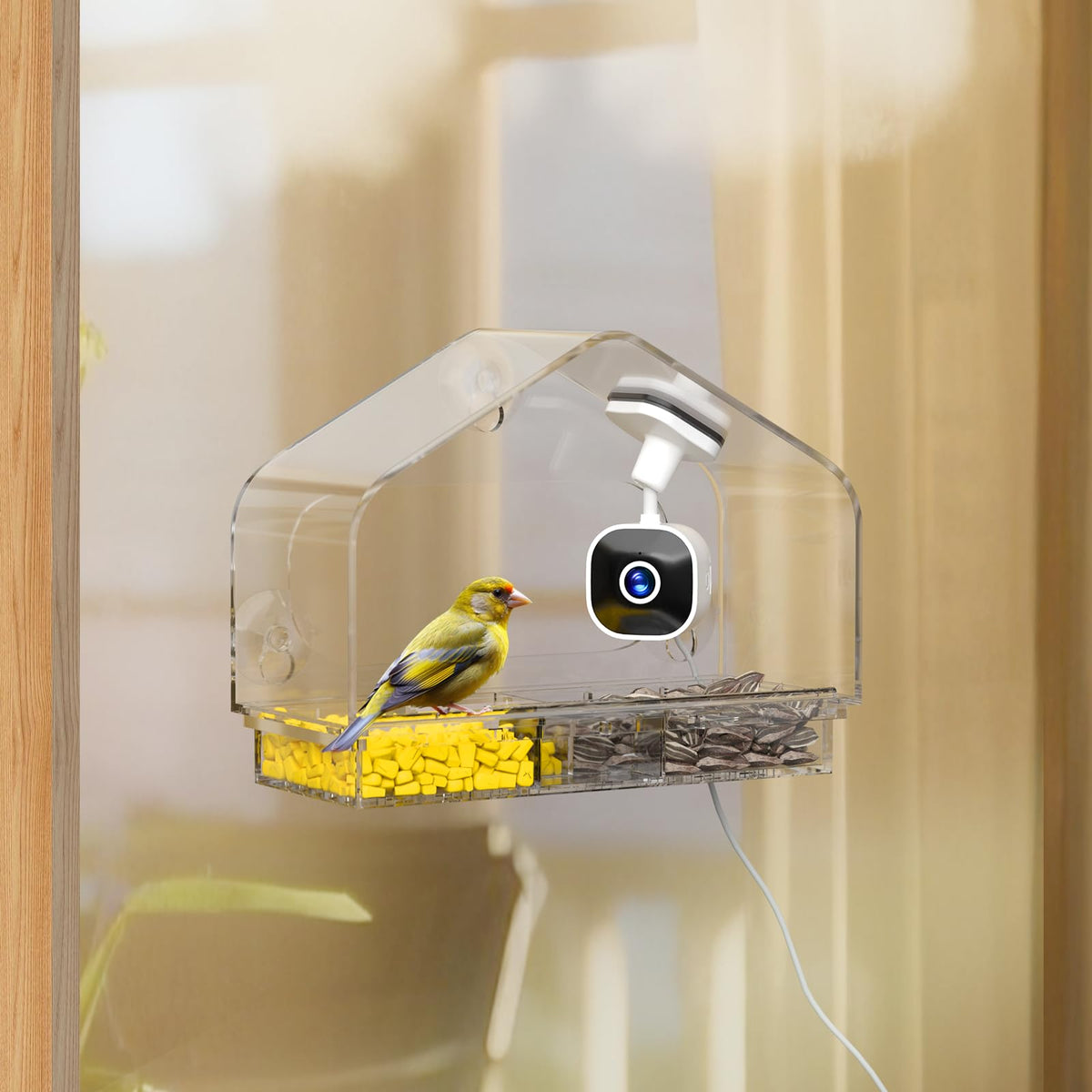 Window Bird Feeder with Strong Suction Cups and Smart Bird Camera