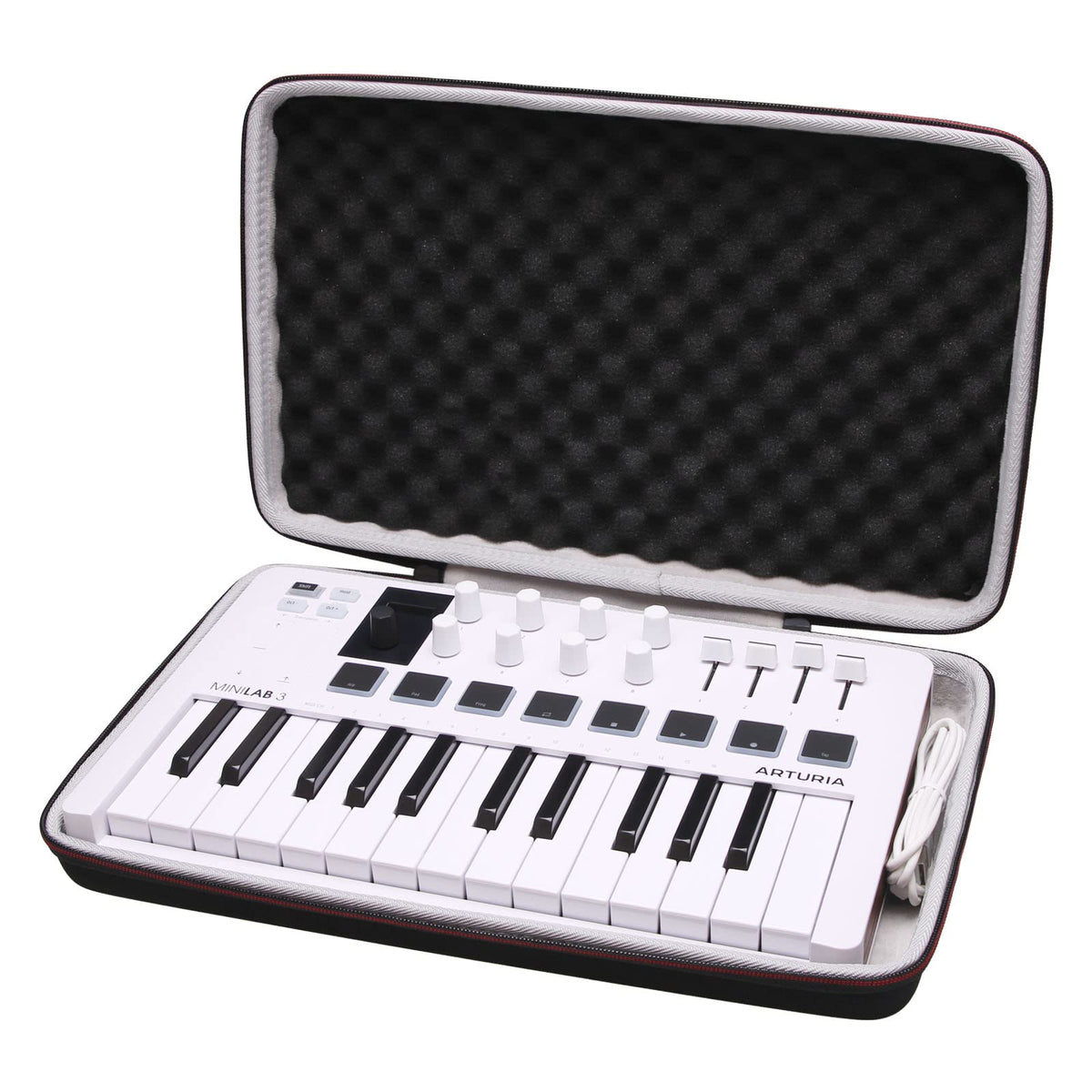 L LTGEM Controller Case - Hard Storage Travel Protective Carrying Bag