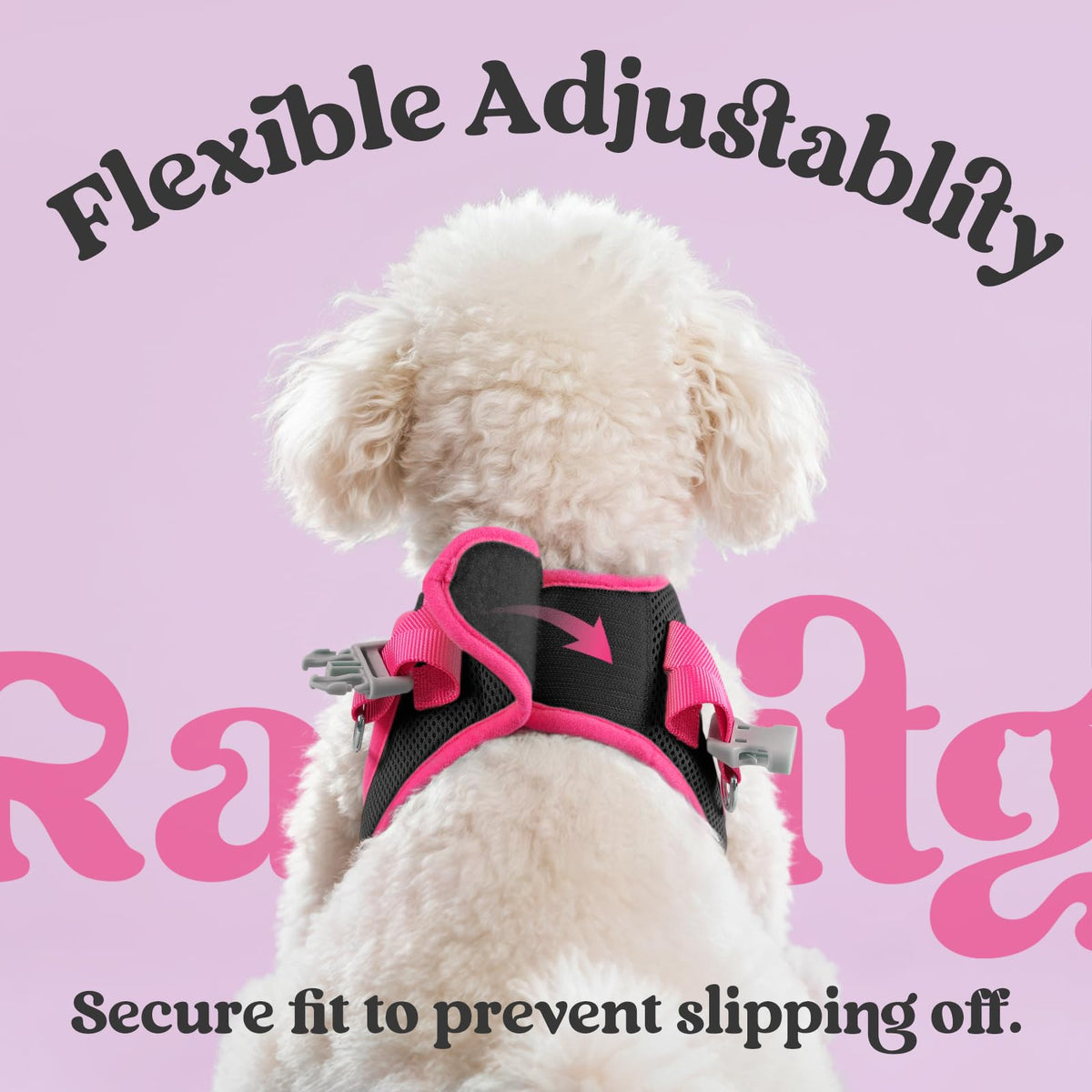 rabbitgoo Dog Harness Small Sized and Leash Set, Step in Soft Vest