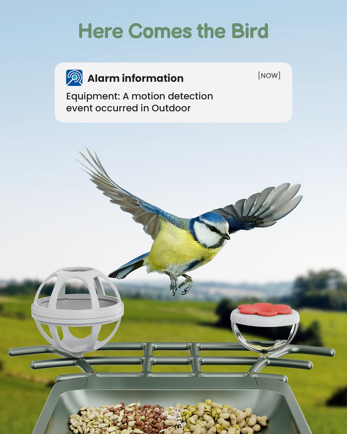 Smart Bird Feeder with Camera Outdoor: Solar Birdfeeder Cam for Outside Garden - 2K HD Live Video Camera AI Recognition Visible Window Auto Capture - Bird Lover Gifts