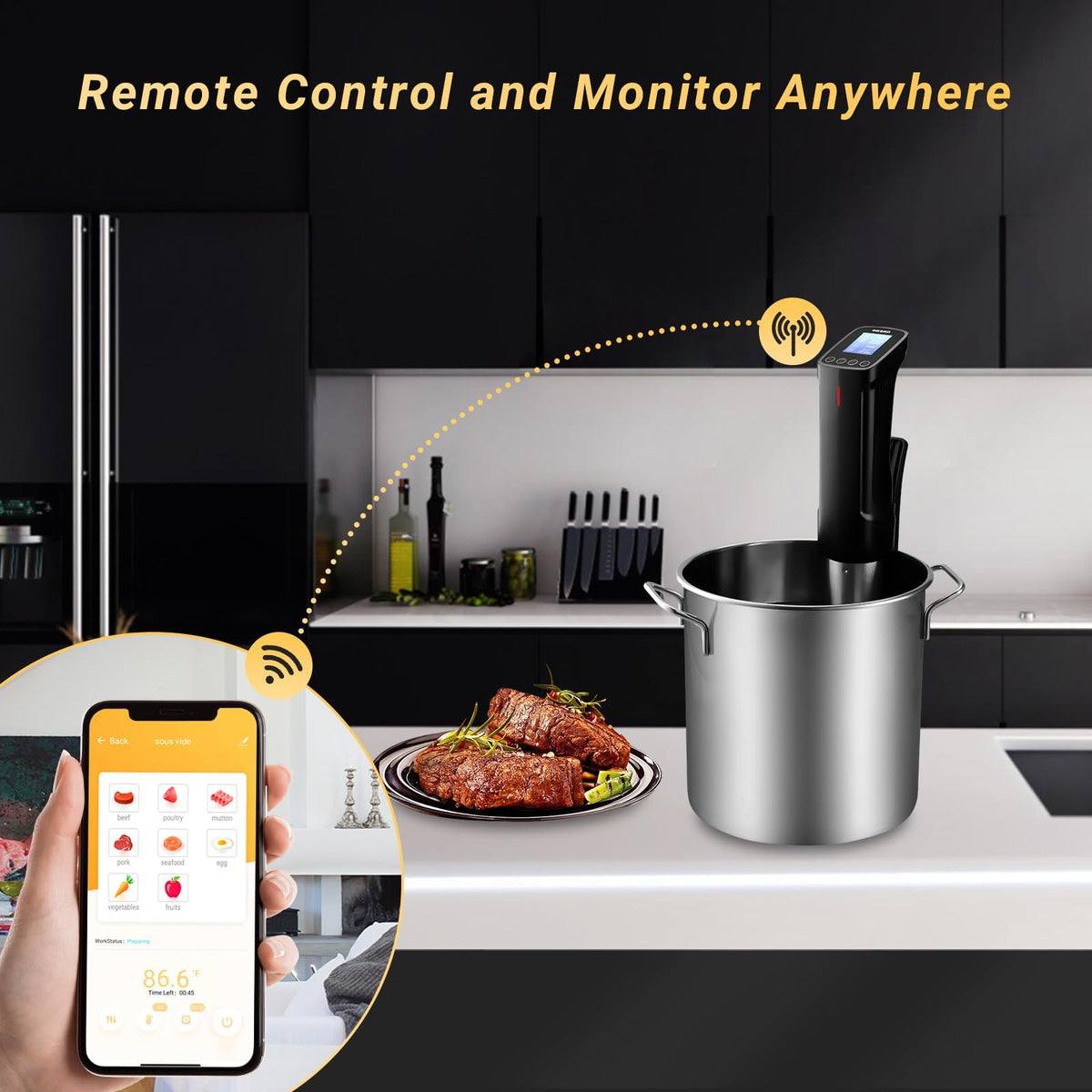 INKBIRD WiFi Sous Vide Cooker