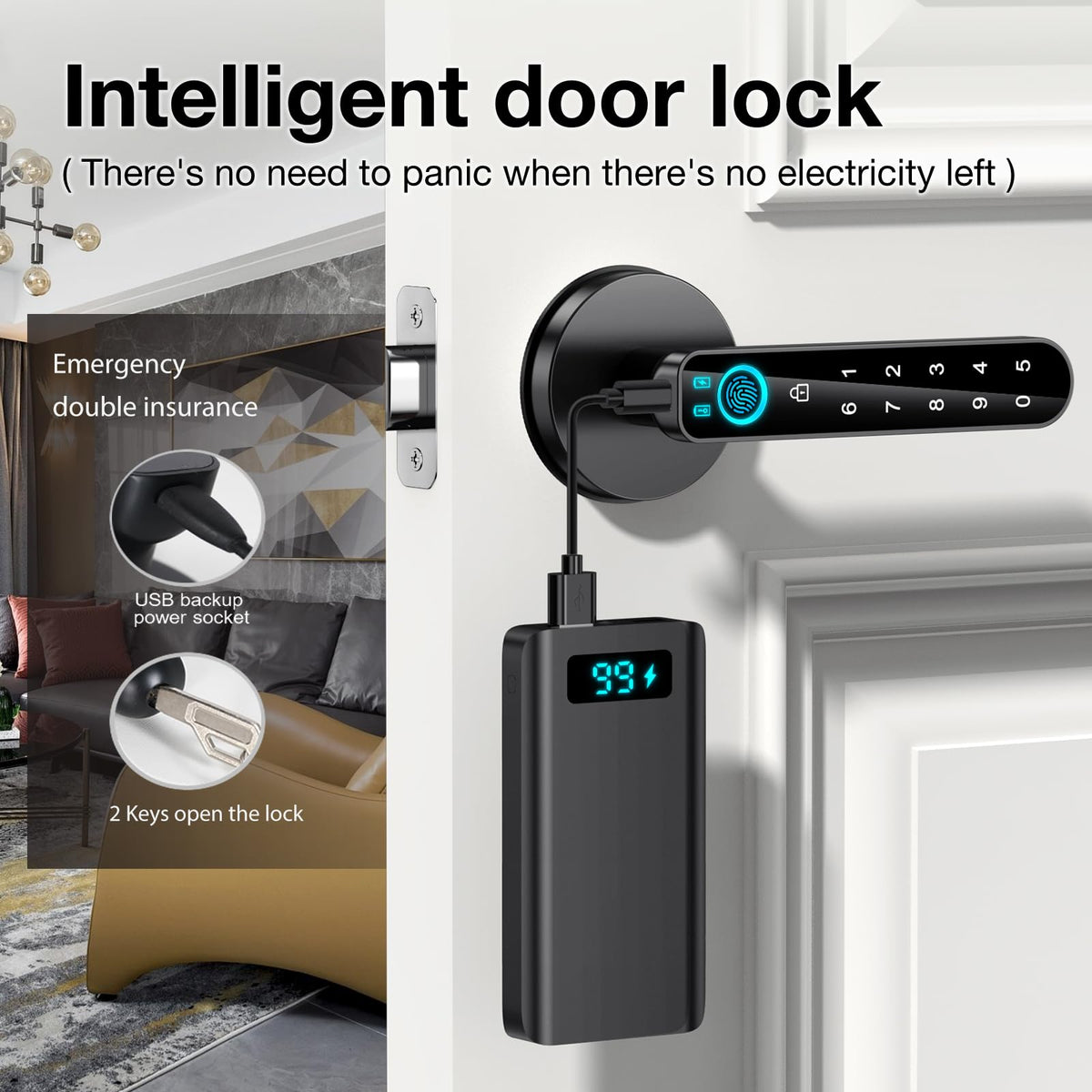 Fingerprint Door Lock- Smart Door knob,biometric Door Lock，with passcode keypad keyless Entry Door Handle，for Bedroom Home Hotel Office Apartment (Black with APP)