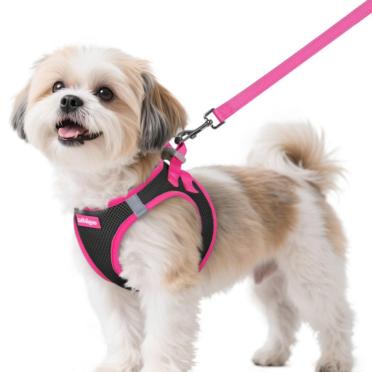 rabbitgoo Dog Harness Small Sized and Leash Set, Step in Soft Vest