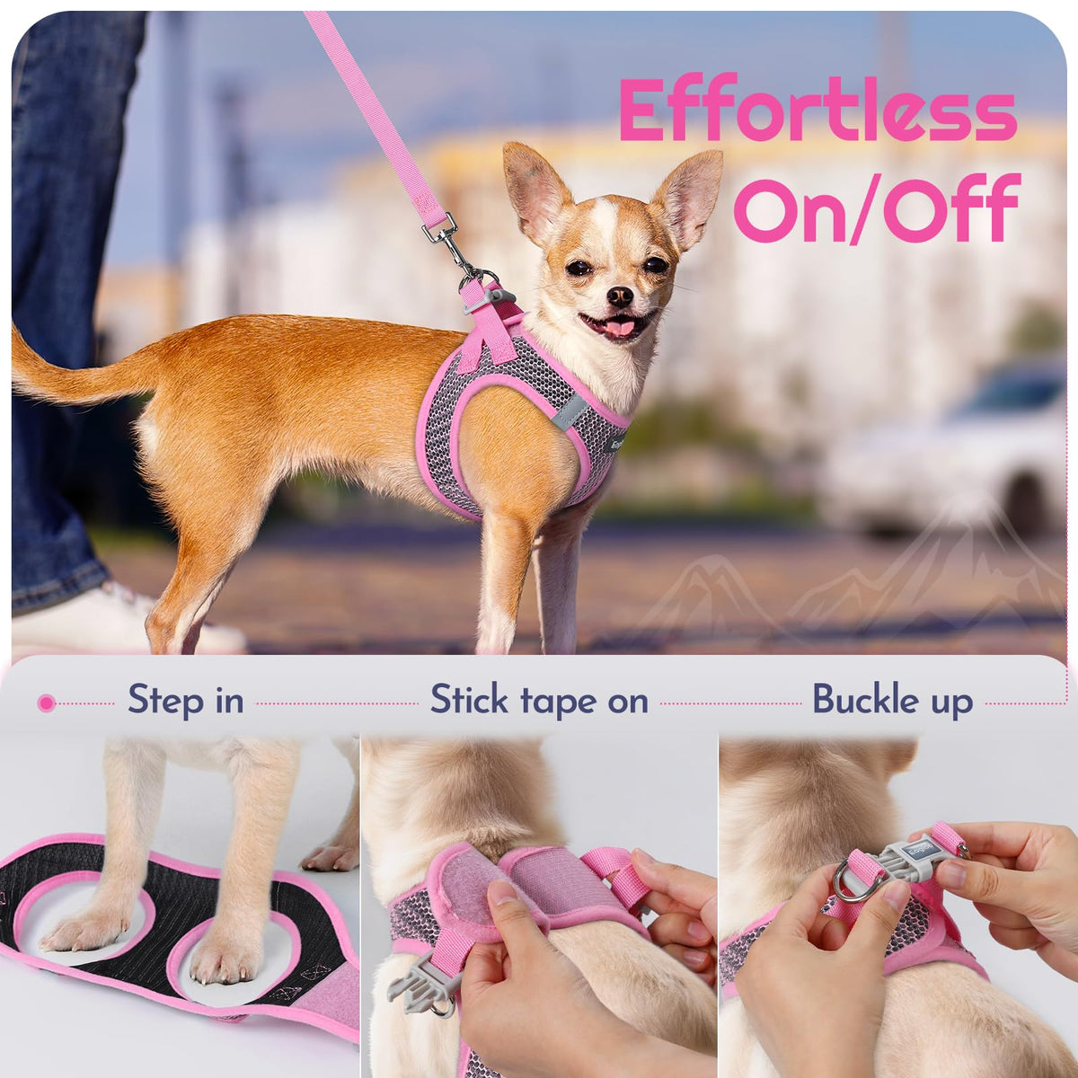 Eagloo Small Dog Harness and Leash Set, Step in Small Sized Puppy Pet Vest