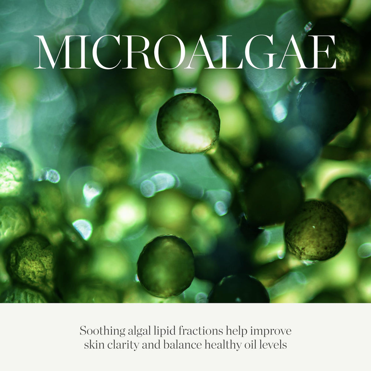KORA Organics Active Algae Calming Cleansing Balm, Soothing Face Cleanser