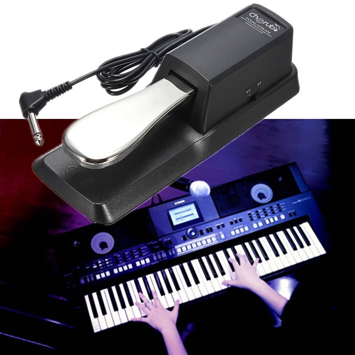 Sustain Pedal for Yamaha Roland Casio Korg Nord Kurzweil Hammond Alesis Moog Ensoniq Behringer Waldorf Arturia Akai Farfisa Studiologic Arp Piano Keyboards and so on