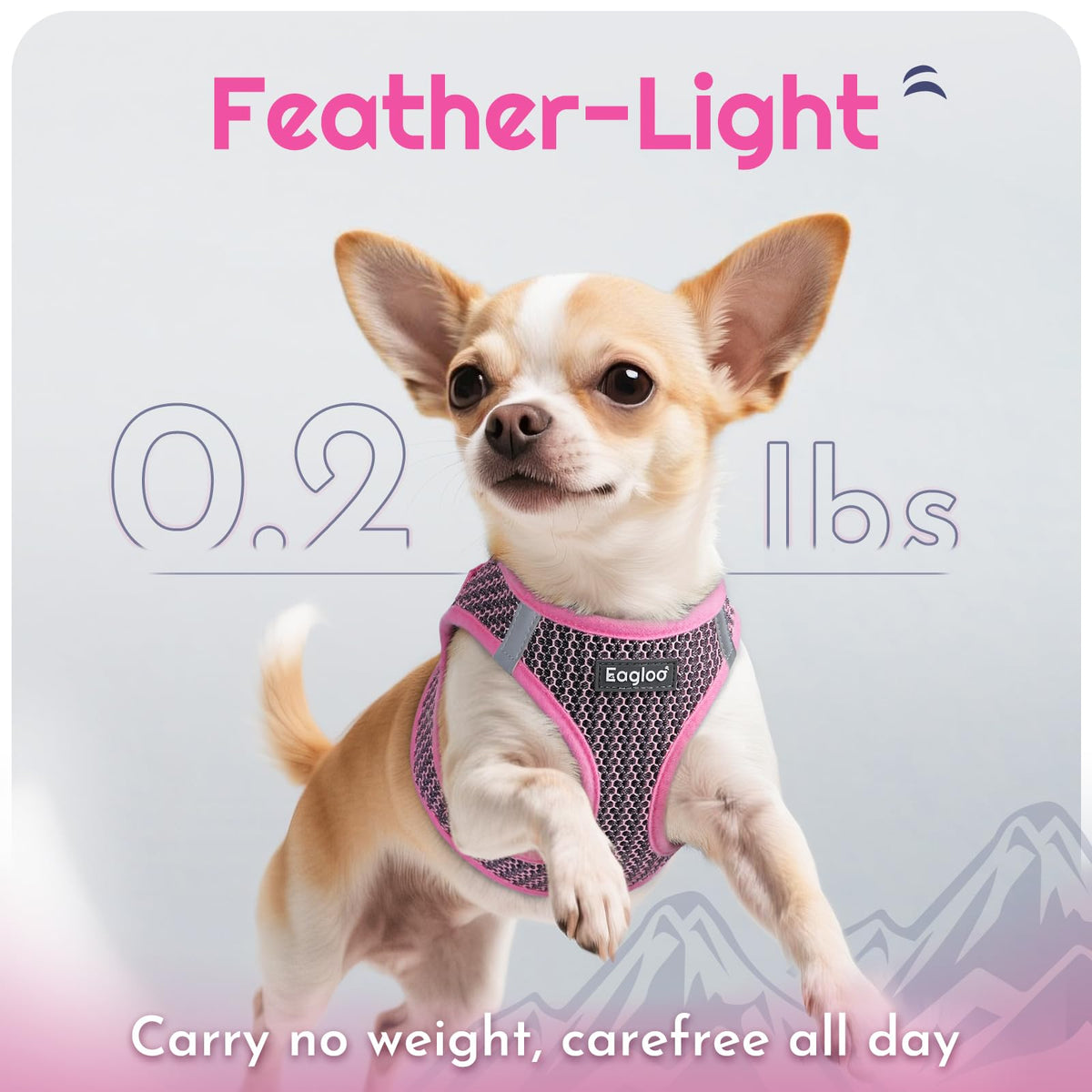 Eagloo Small Dog Harness and Leash Set, Step in Small Sized Puppy Pet Vest