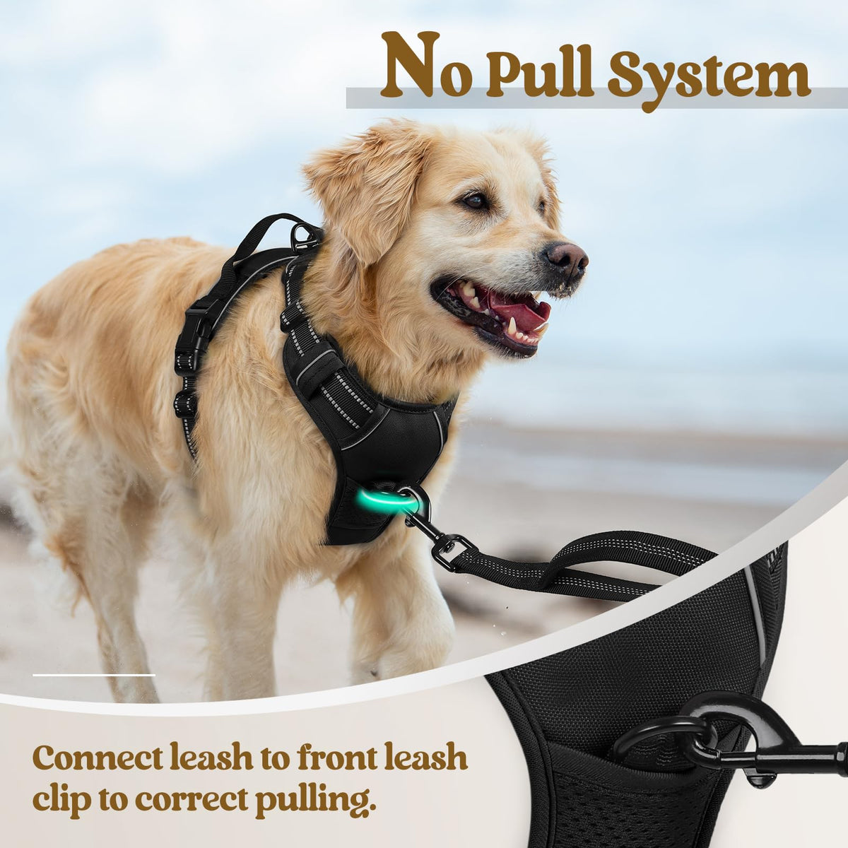 rabbitgoo Dog Harness, No Pull Medium Sized with 2 Leash Clips, Pet Vest