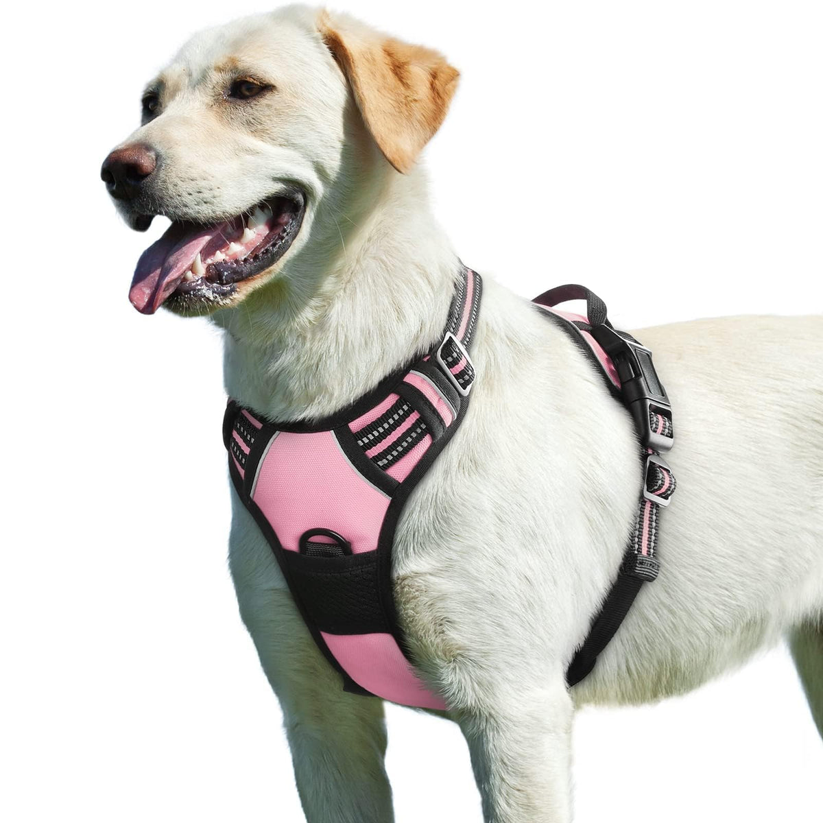 Eagloo Dog Harness for Large Dogs, No Pull Pet Vest with 2 Leash Clips