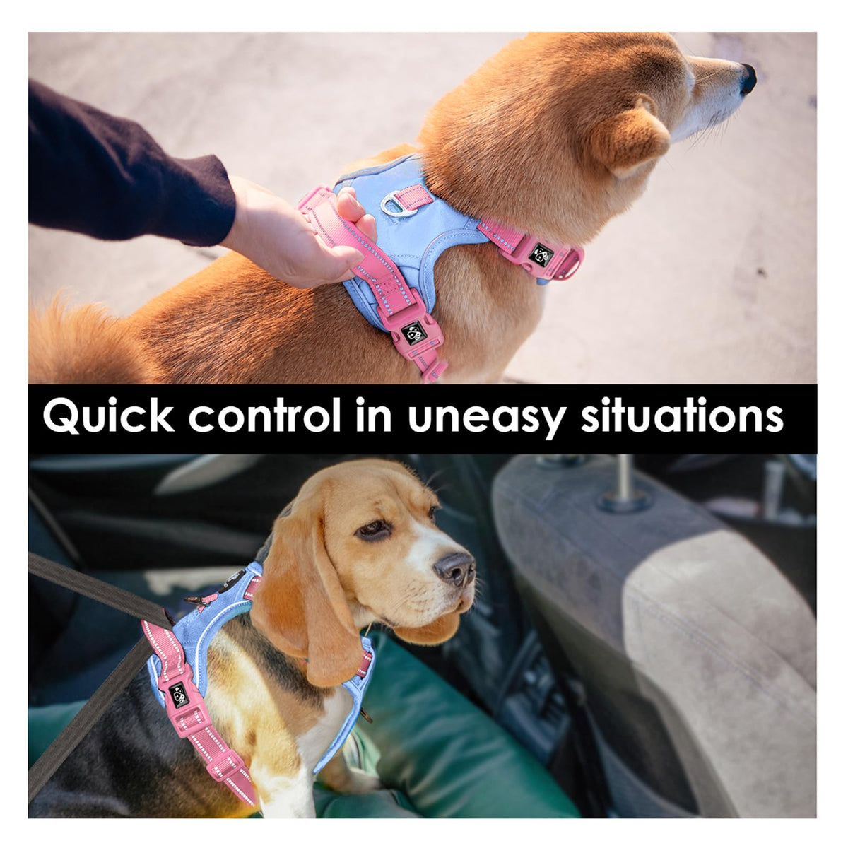 PHOEPET No Pull Dog Harness, Unique Colors Reflective Adjustable Dog Vest