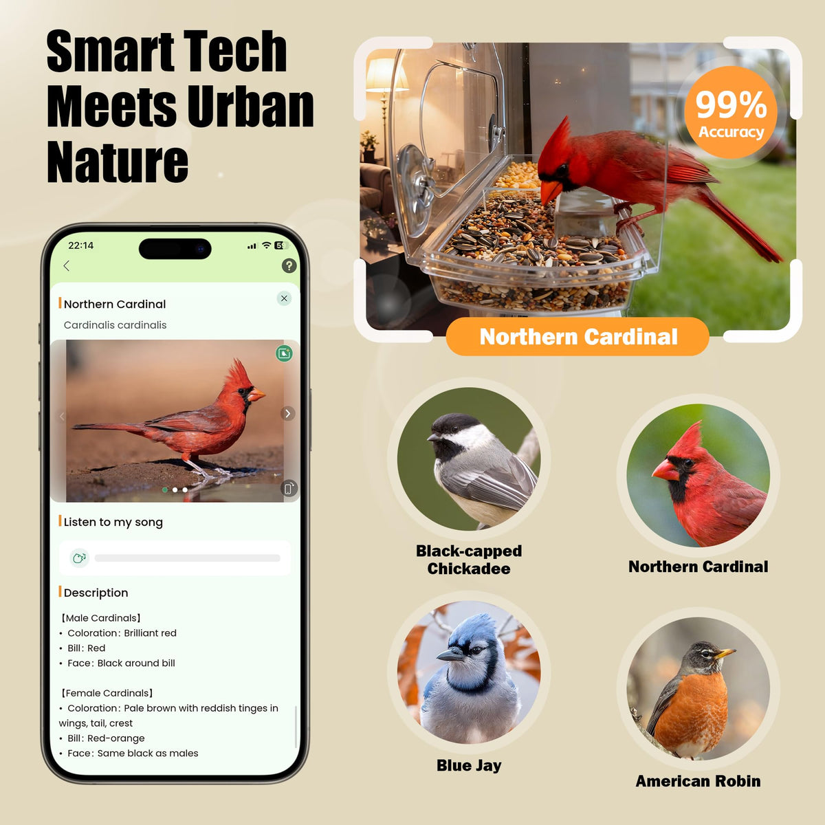 Window Bird Feeder with Strong Suction Cups & Smart Waterproof Bird Camera