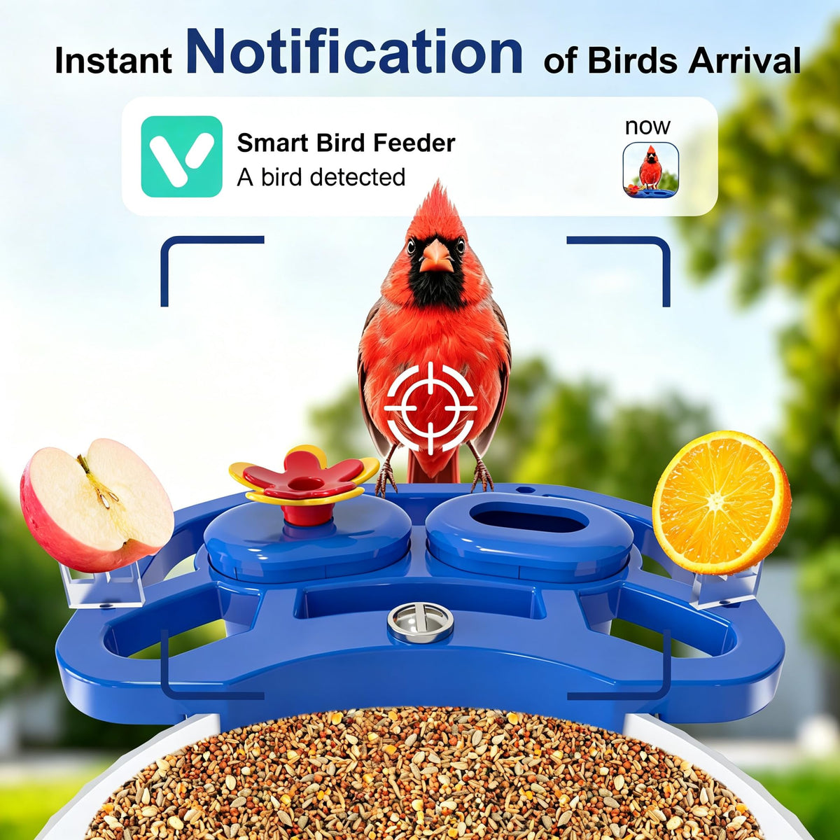 NEEZUKAR Smart Bird Feeder with Camera Solar Powered, AI Species Identification, 2K HD Video, Instant Arrival Alerts, Weatherproof Design for Outdoor, Best Gift for Bird Lovers(Blue)