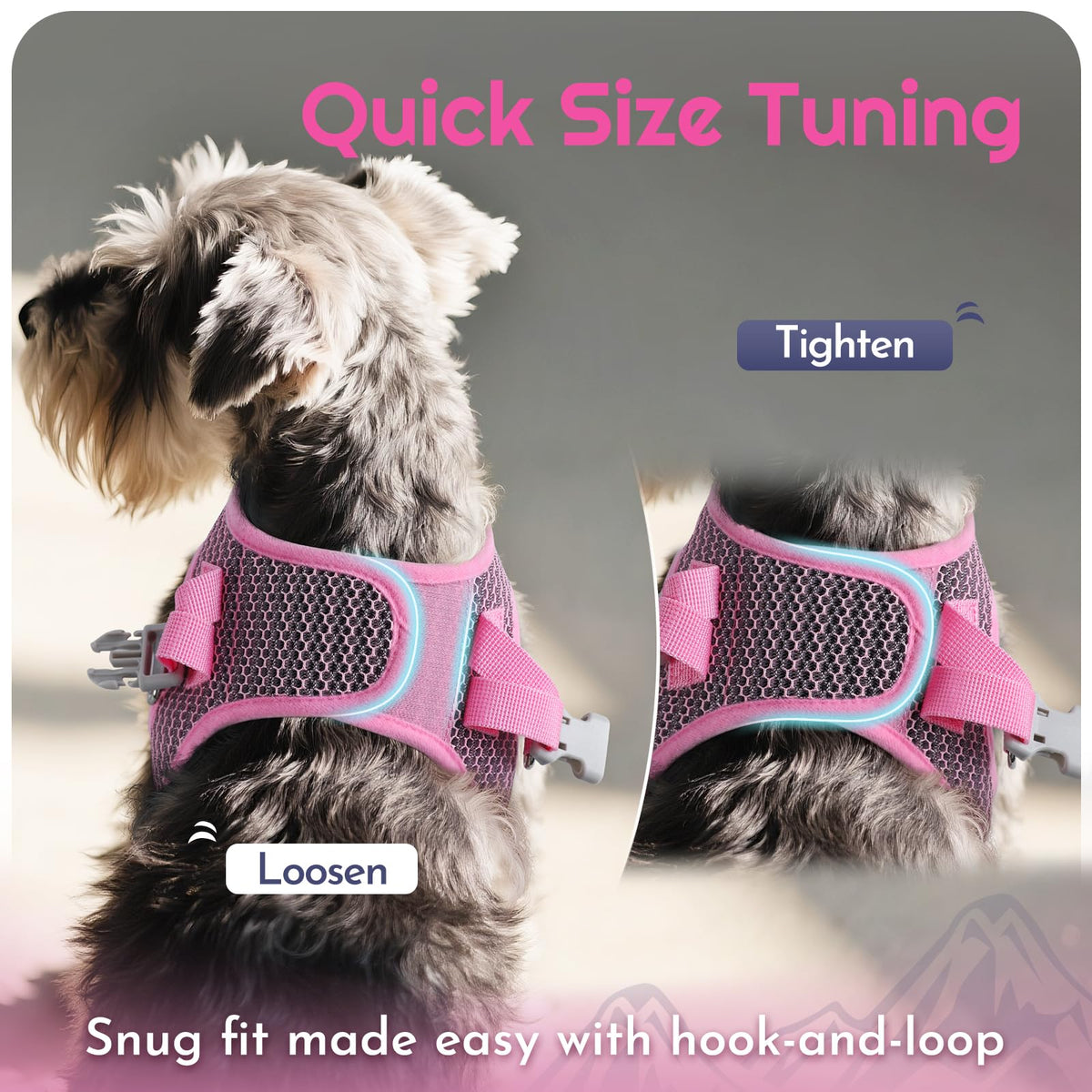 Eagloo Small Dog Harness and Leash Set, Step in Small Sized Puppy Pet Vest