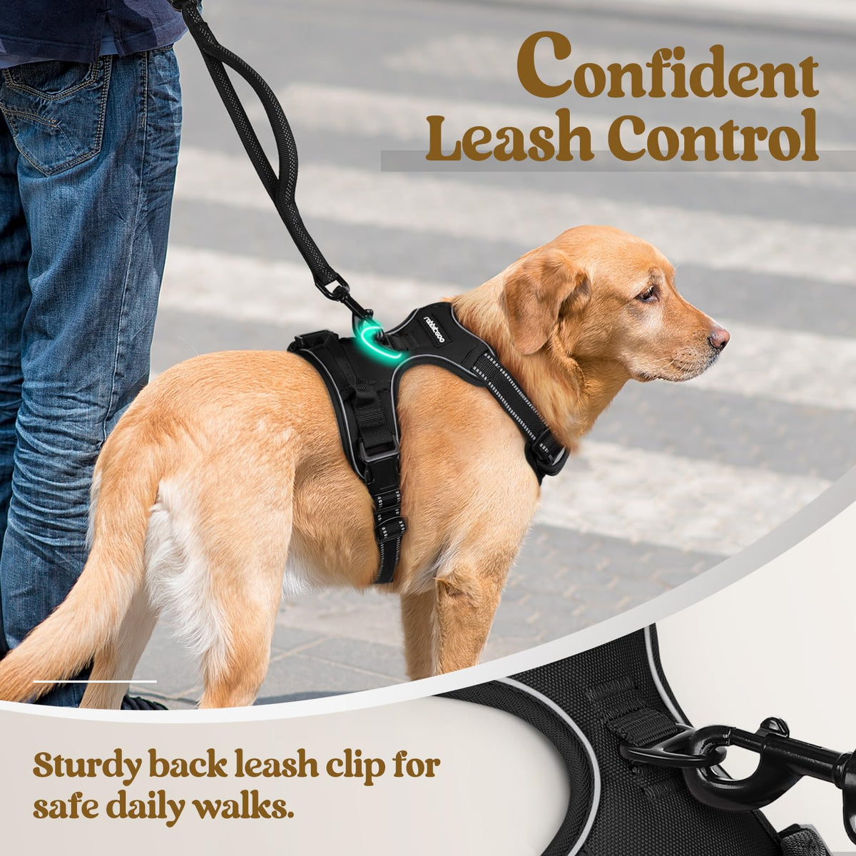 rabbitgoo Dog Harness, No Pull Medium Sized with 2 Leash Clips, Pet Vest