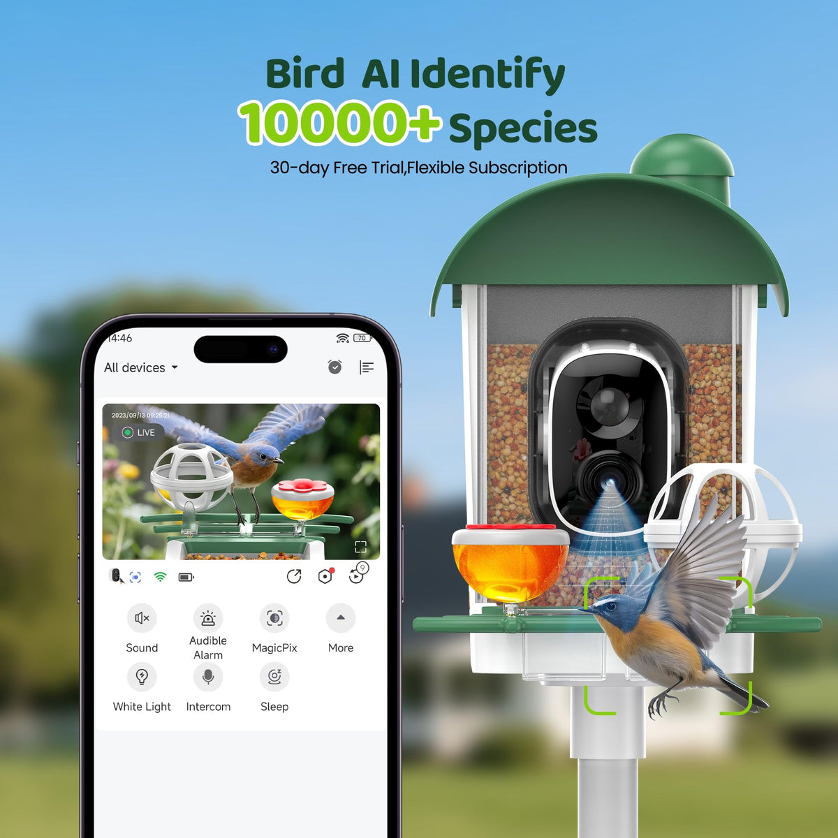 Bird Feeder with Camera Outdoor Solar: Smart Birdfeeder Houses with 2K Live Cam - AI Identify Birds Species and Auto Instant Arrival Alert Outside Garden - Ideal Gift for Bird Lovers