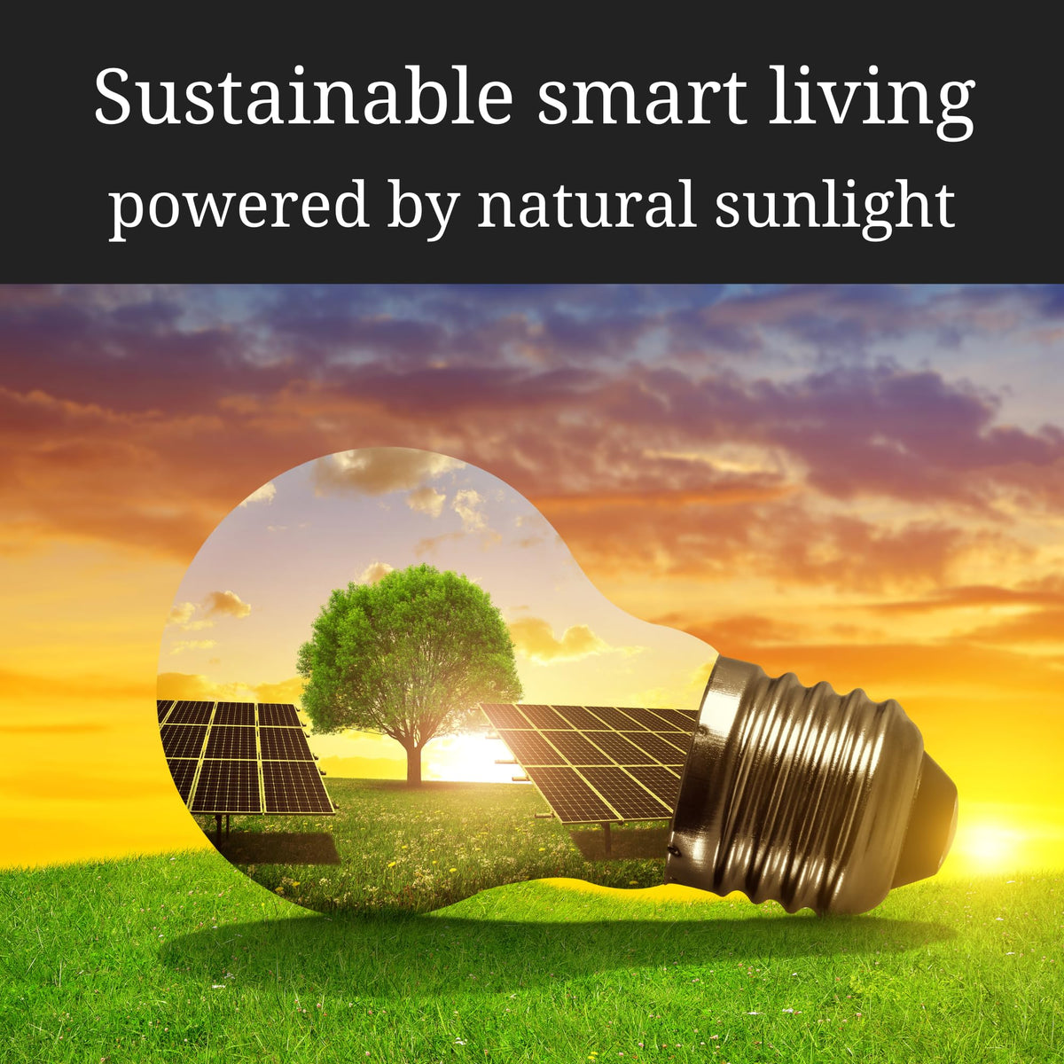Avia Smart SolarPro. Solar Panel to Recharge The Avia Deadbolt+ Smart Lock. in Good Sunlight, Helps Maintain Battery Life for Up to 5 Years*.