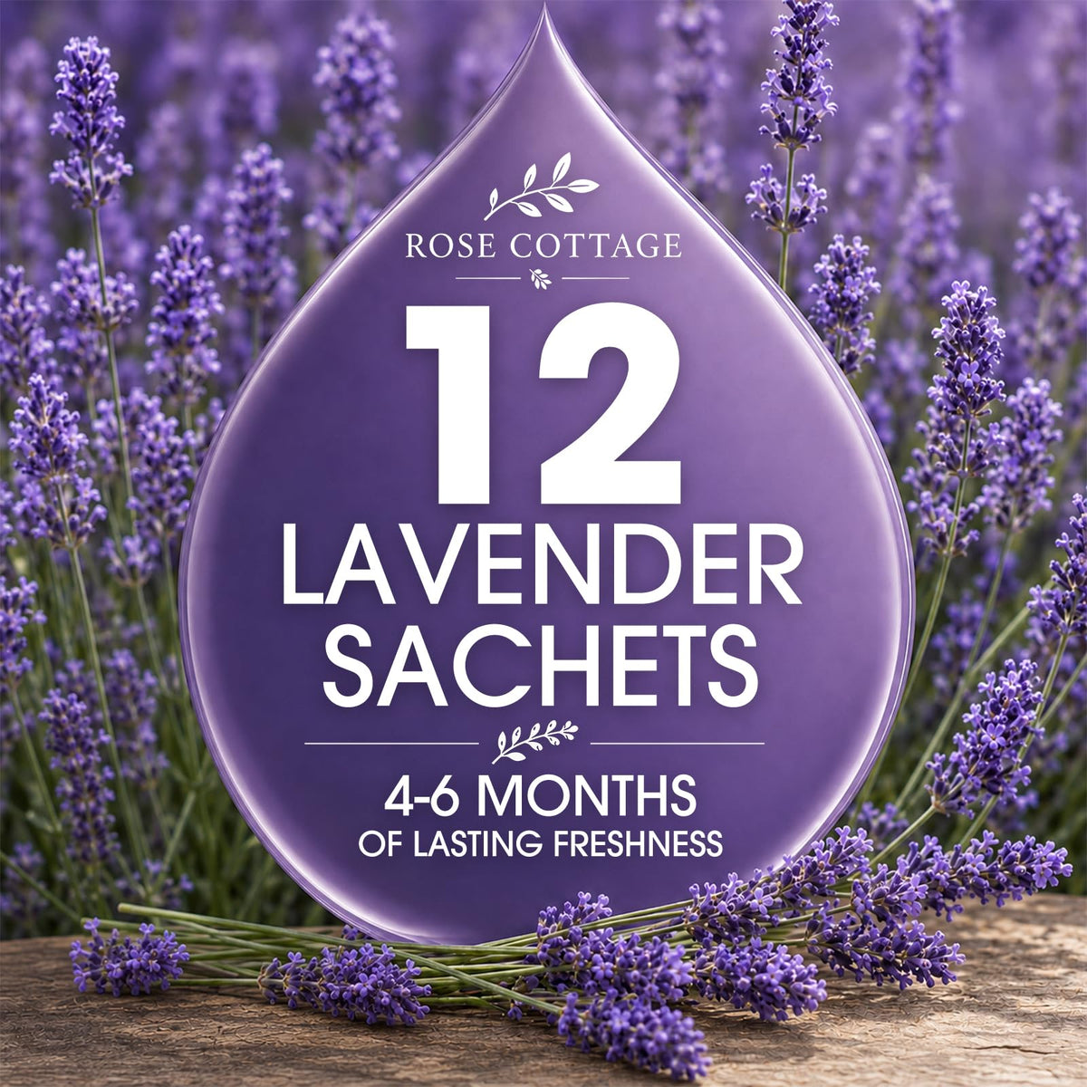 Large 12 Packs Lavender Hanging Scented Sachets Long-Lasting Closet Deodorizer Air Freshener Fabric Refresher Odor Eliminator for Drawer Home Fragrance Gift Set