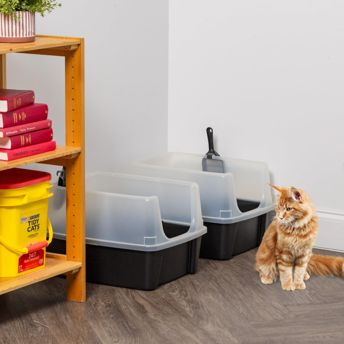 IRIS USA High Sided Cat Litter Box, Scatter Shield, Large, Black 2 Pack