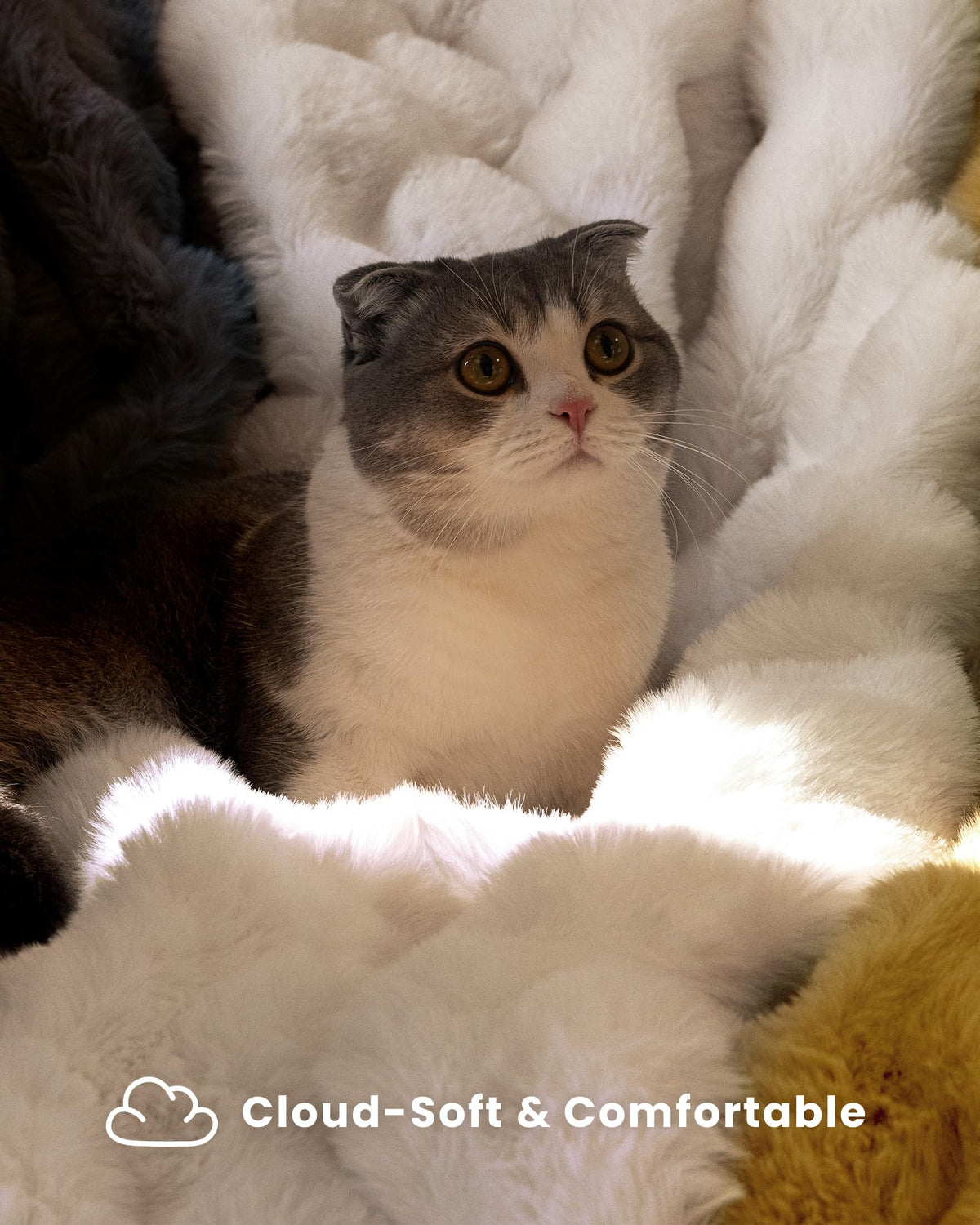 blunique Ultra Soft Cozy Faux Fur Throw Blanket, Fuzzy Plush Thick Bubble Blanket, Luxury Fluffy Blanket for Couch, Sofa, Bedroom, and Living Room, 50x60 Inches, Cream White - thewildfolk blunique Ultra Soft Cozy Faux Fur Throw Blanket, Fuzzy Plush Thick Bubble Blanket, Luxury Fluffy Blanket for Couch, Sofa, Bedroom, and Living Room, 50x60 Inches, Cream White