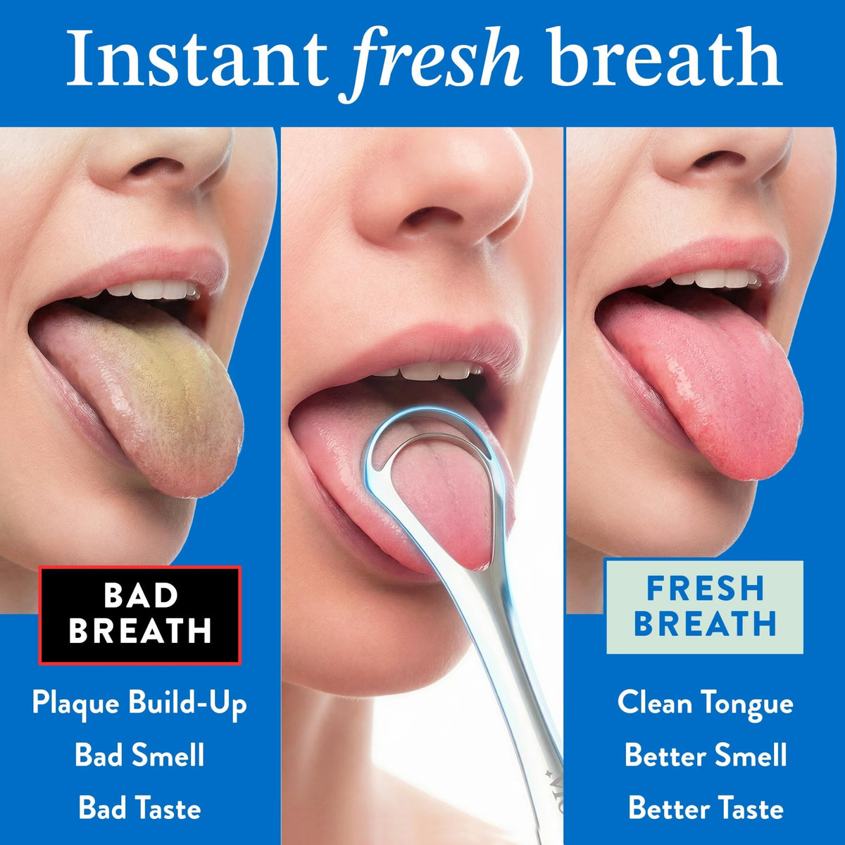 Mouthology Tongue Scraper for Adults (2 Pack), Reduce Bad Breath, Metal Tongue Scraper, Tongue Cleaner, Tongue Scraper, Stainless Steel Tongue Scraper, Tongue Cleaner for Adults, Tongue Scrubber - thewildfolk Mouthology Tongue Scraper for Adults (2 Pack), Reduce Bad Breath, Metal Tongue Scraper, Tongue Cleaner, Tongue Scraper, Stainless Steel Tongue Scraper, Tongue Cleaner for Adults, Tongue Scrubber