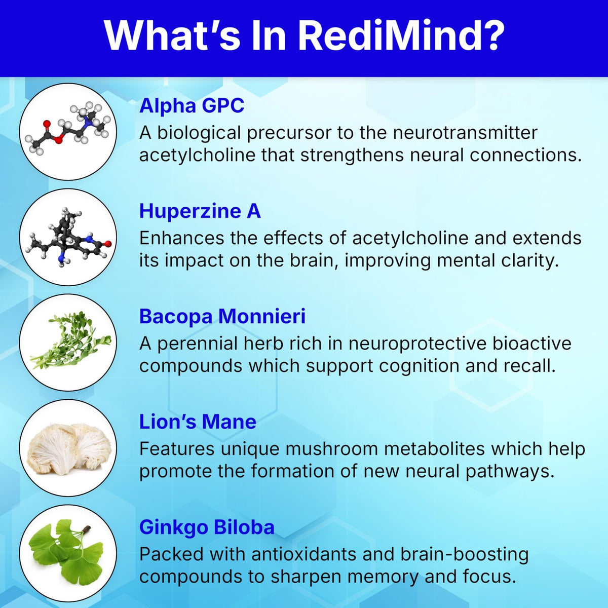 RediMind Natural Cognitive Support and Brain Supplement, Vegan, Gluten-Free - thewildfolk RediMind Natural Cognitive Support and Brain Supplement, Vegan, Gluten-Free