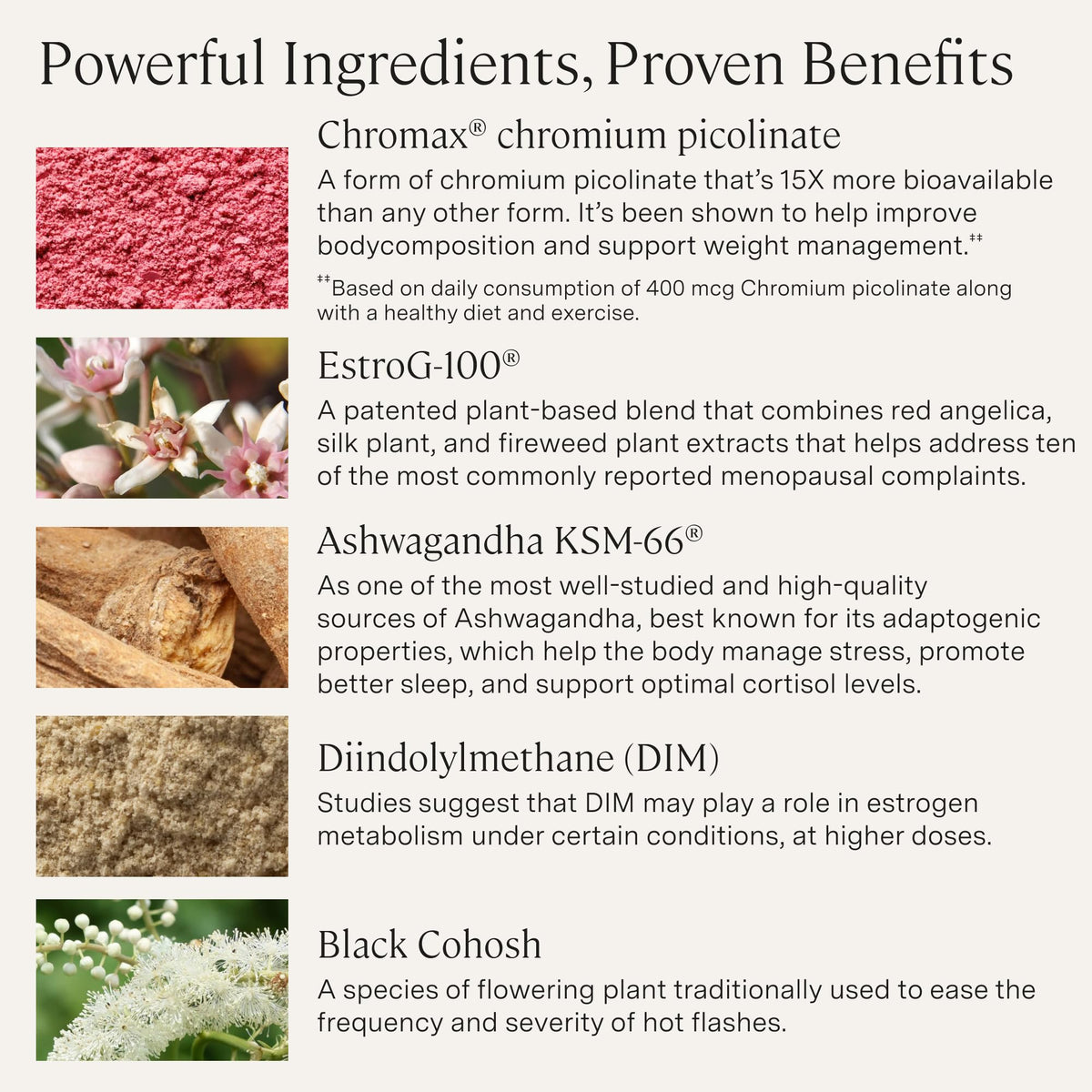 Stonehenge Health Menopause Support™ | Mood, Energy, Stress, Hot Flashes - thewildfolk Stonehenge Health Menopause Support™ | Mood, Energy, Stress, Hot Flashes